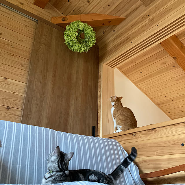 mkmkmoominさんの実例写真