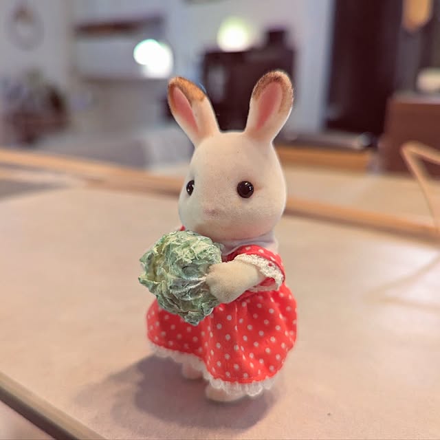 noahさんの部屋