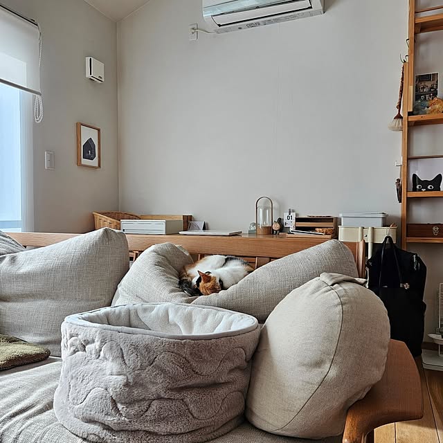 koyurizuさんの部屋