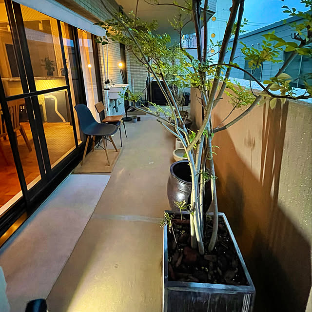 kenさんの実例写真