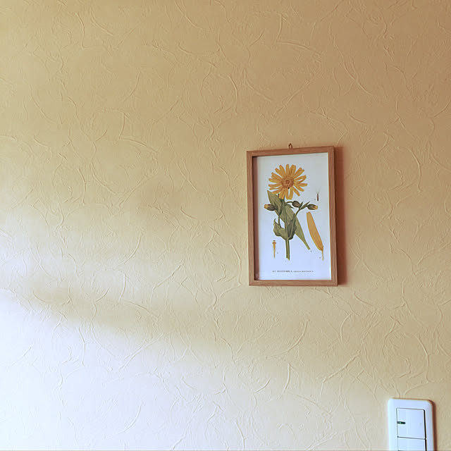 nyanco_conyancoさんの実例写真
