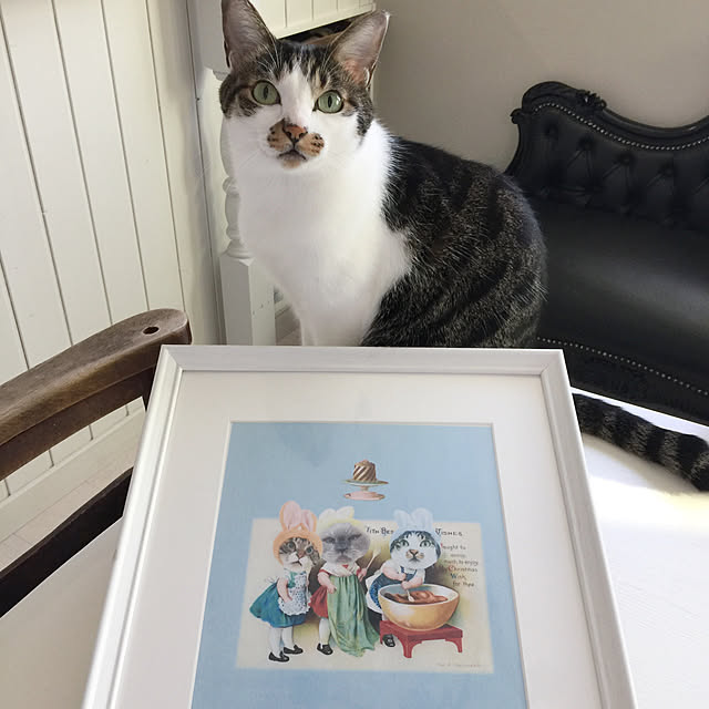 yuchiさんの実例写真