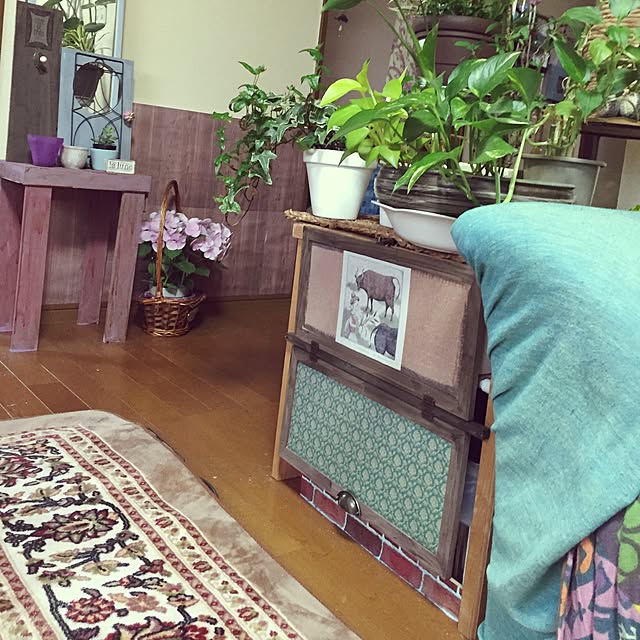 Norikoさんの実例写真
