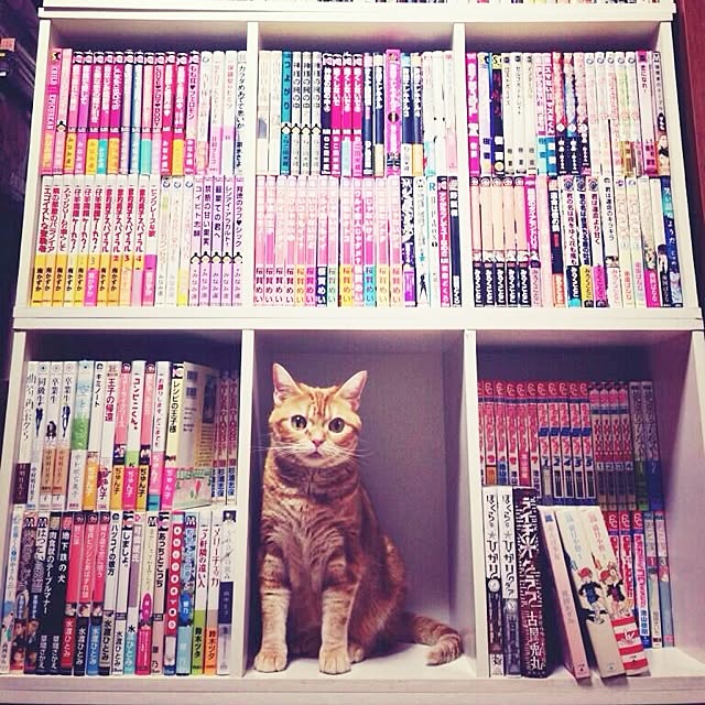sotaさんの実例写真