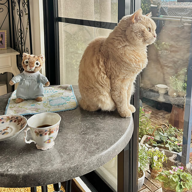 naokoさんの部屋