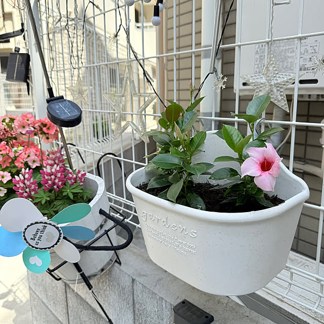 ChitoseImanishiさんの部屋