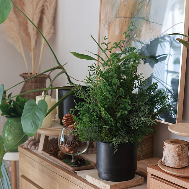 Summerさんの部屋