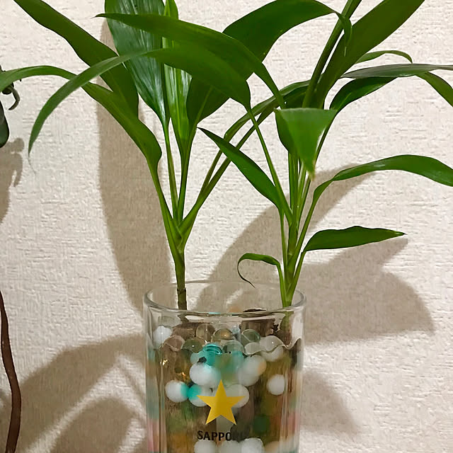 Shinさんの実例写真