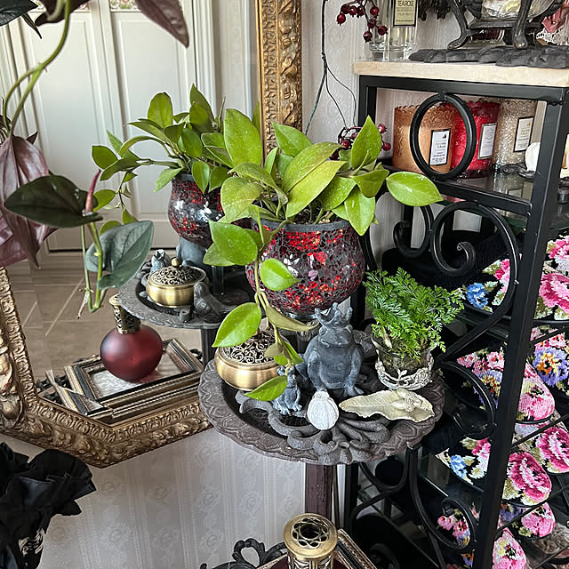 AYUKOさんの部屋