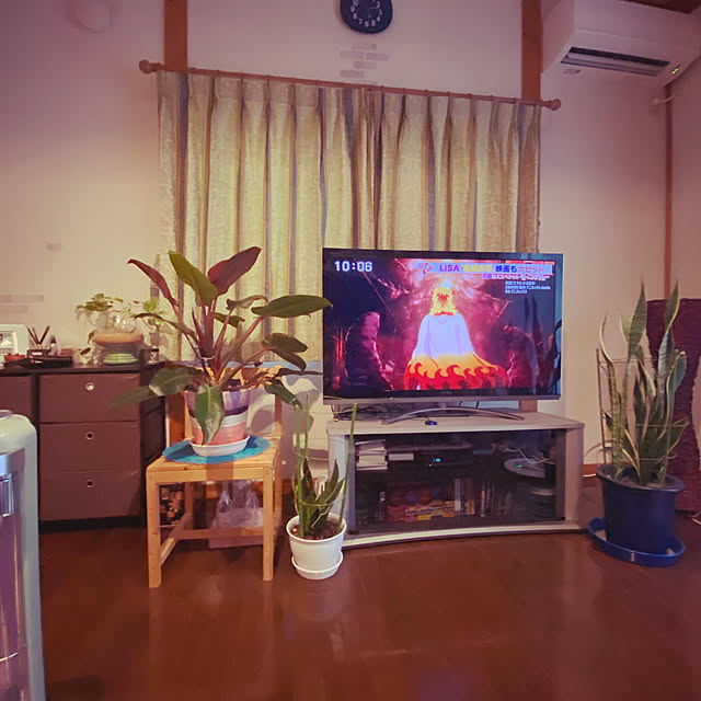 実例写真