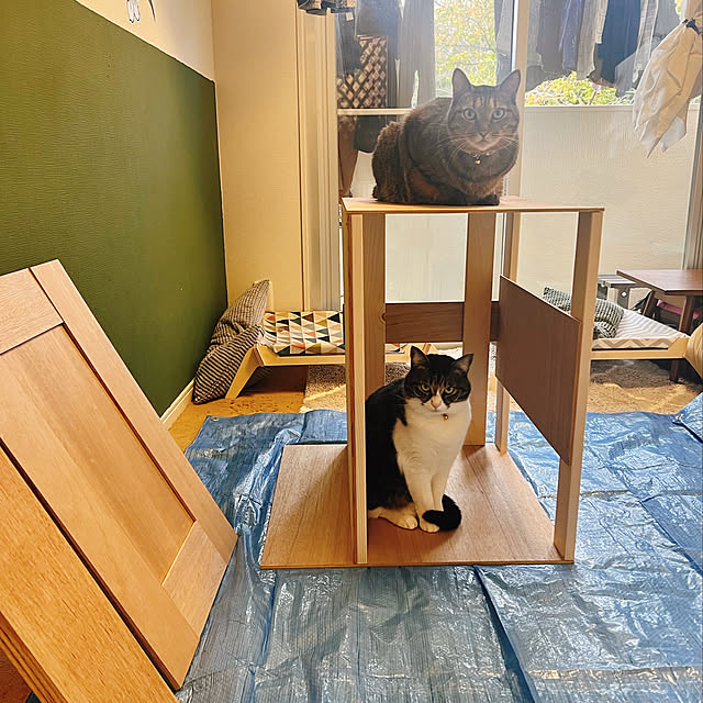 sumoanzuさんの実例写真