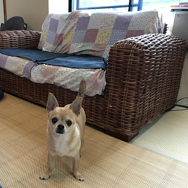 yebihara0720さんの実例写真