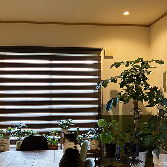 nanさんの実例写真