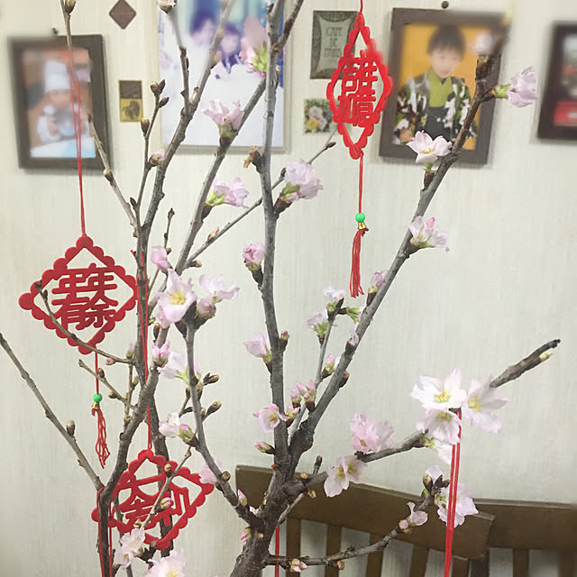 kinkinkoroさんの実例写真