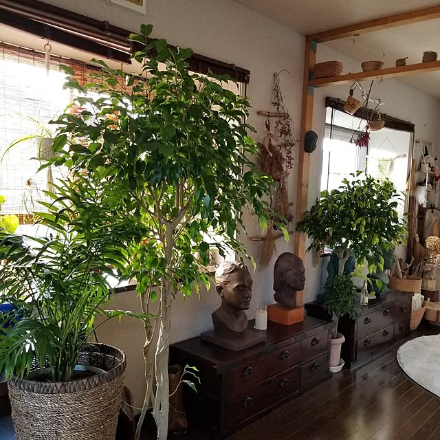 midoriさんの部屋