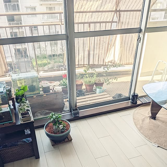mi-saさんの部屋