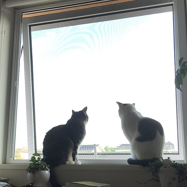 daisukime0223さんの実例写真