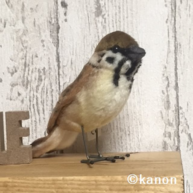 kanonさんの実例写真