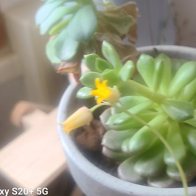 monnさんの部屋