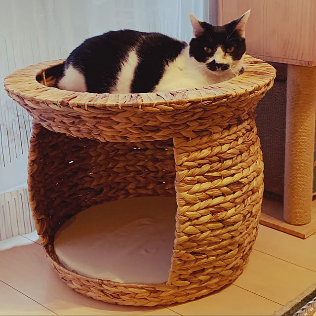 kumimonさんの実例写真