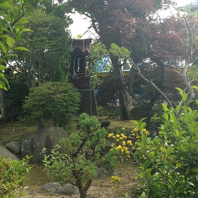 miさんの実例写真