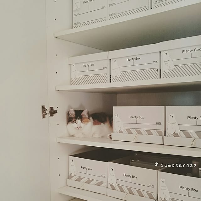 sumosarozaさんの実例写真