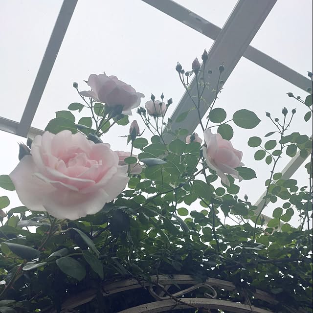 Bienvenueさんの部屋