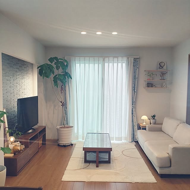 tan5さんの実例写真