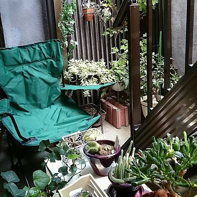 minasaboさんの実例写真