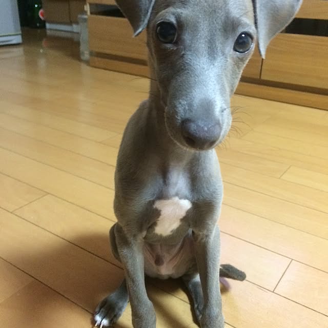 kiyakkoさんの実例写真