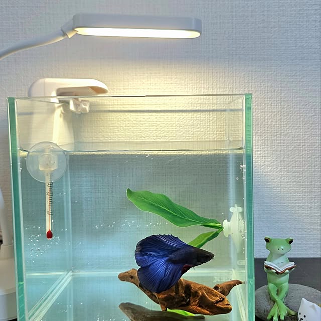 mint_greenさんの実例写真
