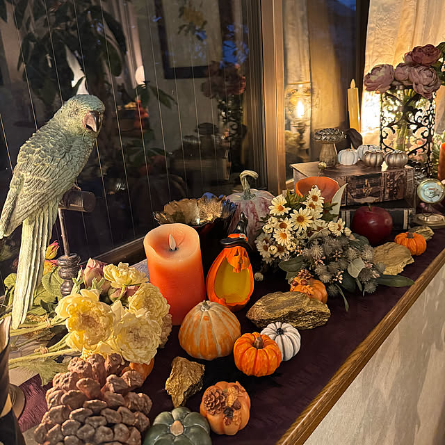 mamizaさんの部屋