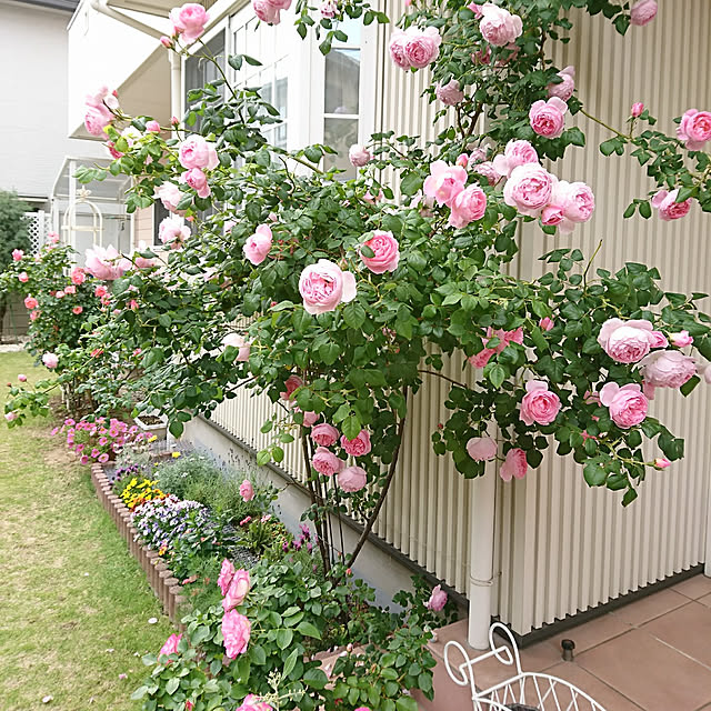 fleur-mamanさんの実例写真