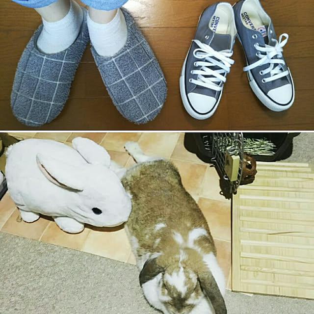 usamamaさんの実例写真