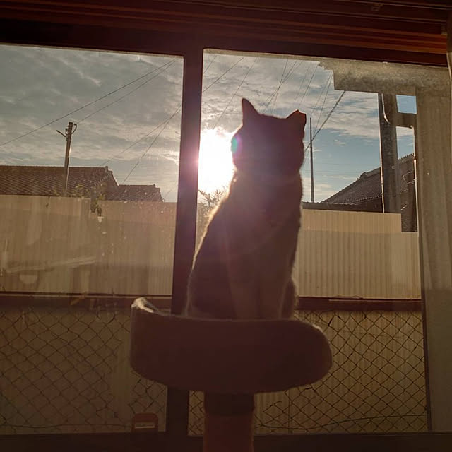 fukuさんの実例写真