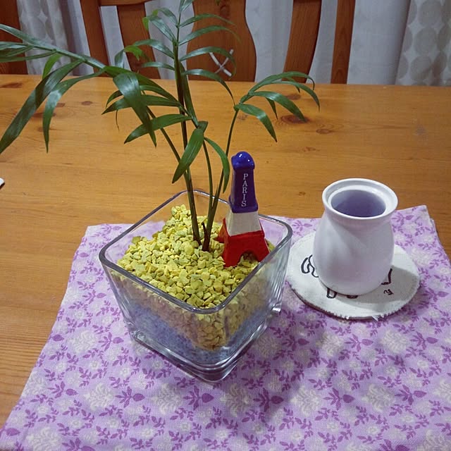 リビング/植物のインテリア実例 - 2014-06-11 21:51:24