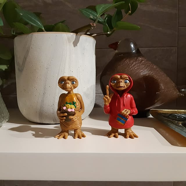 mi-さんの実例写真