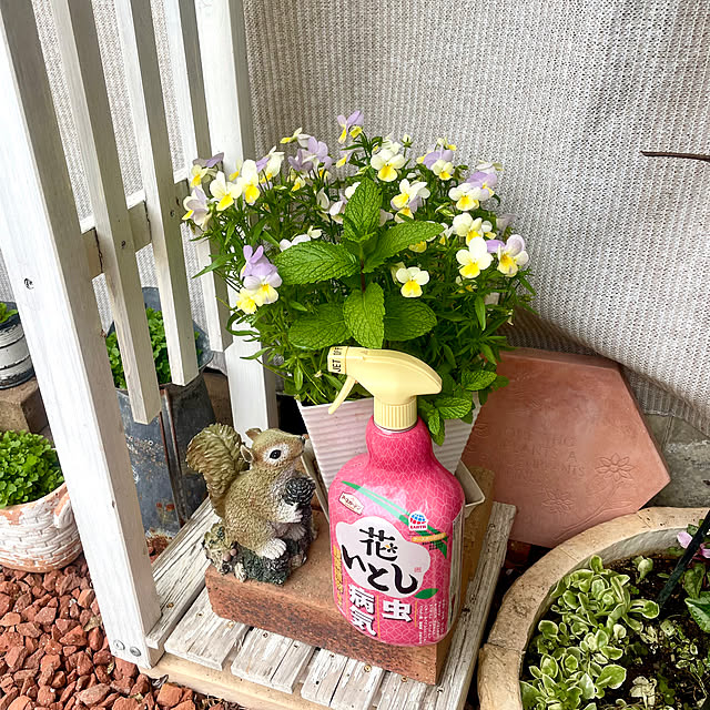 Ma-saさんの実例写真