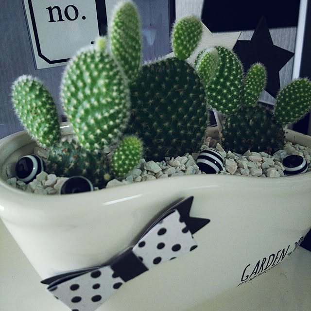 ...t_m_eee...さんの実例写真