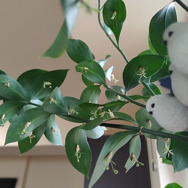 NOAHさんの部屋