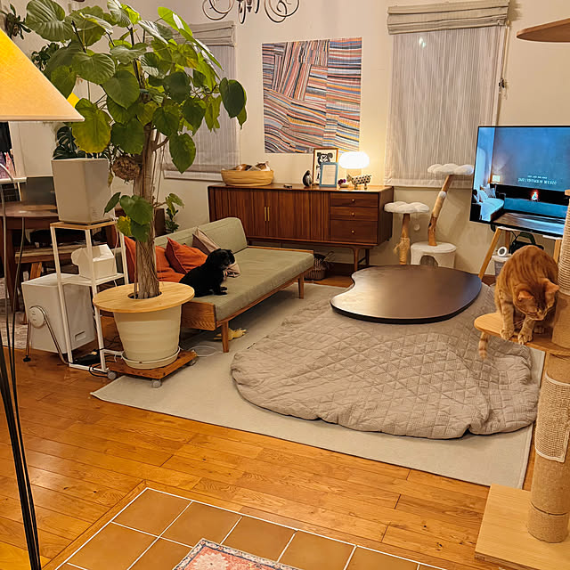 67さんの実例写真