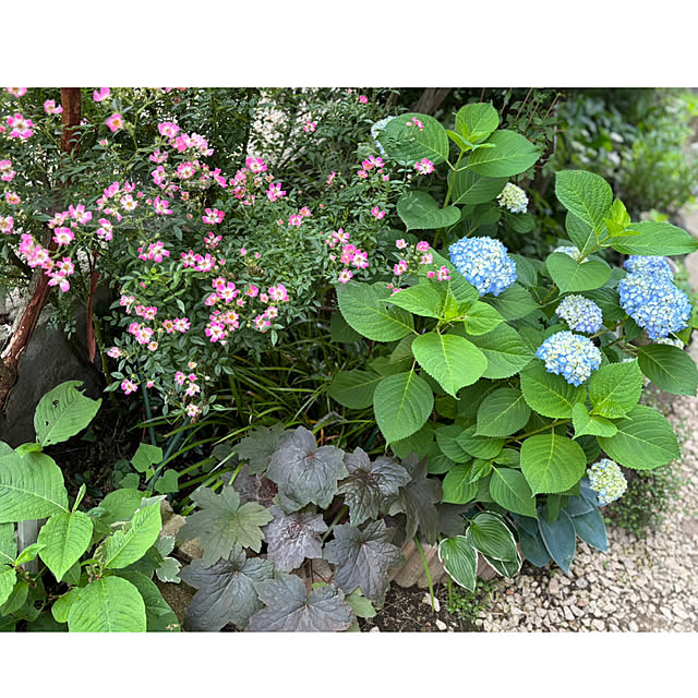CoCo0617さんの実例写真