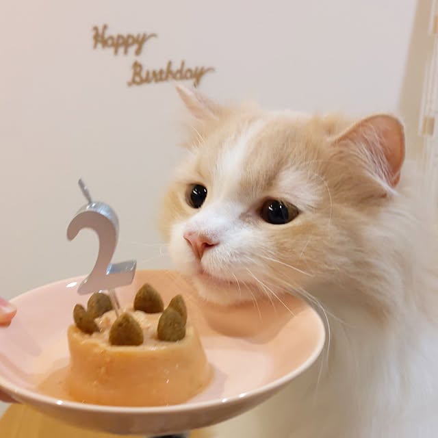 annyaさんの部屋