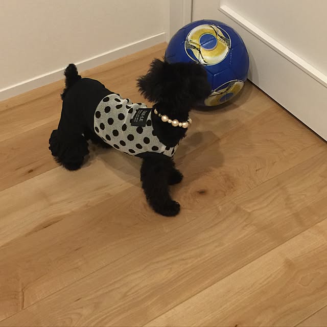 junkoさんの実例写真