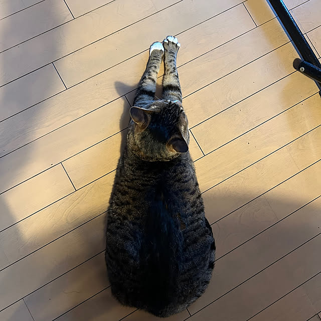 suemonta14さんの部屋