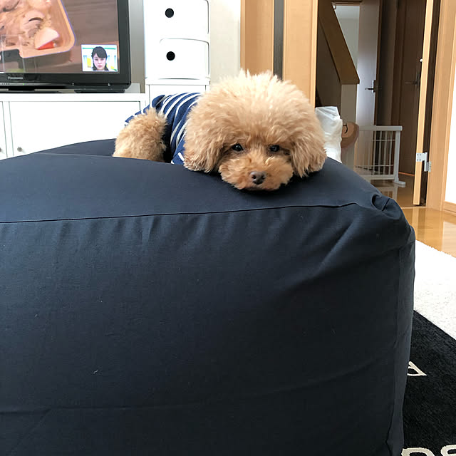 milkuraraさんの実例写真