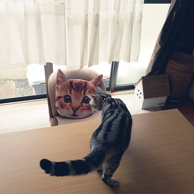 fruityanさんの実例写真