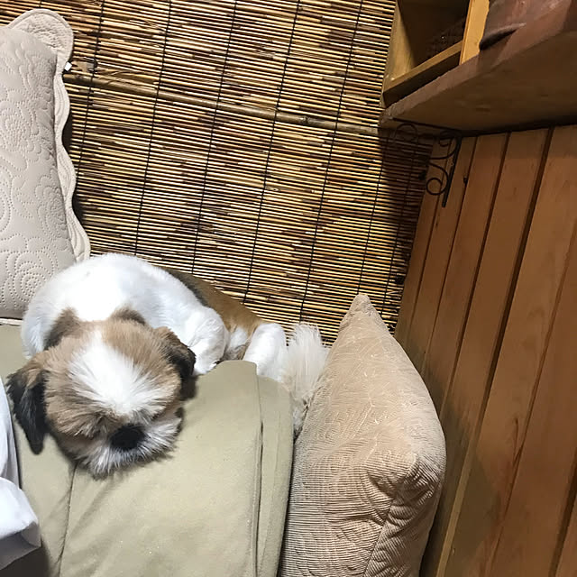 Miyokoさんの実例写真