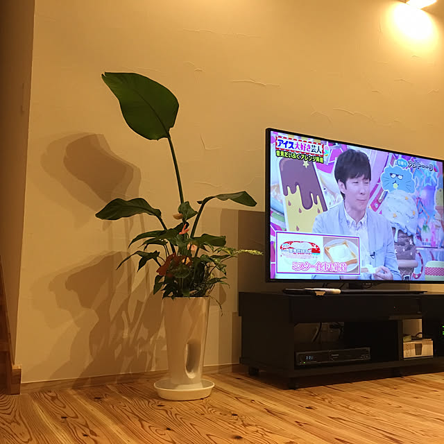 リビング/観葉植物/照明のインテリア実例 - 2017-08-21 18:43:51