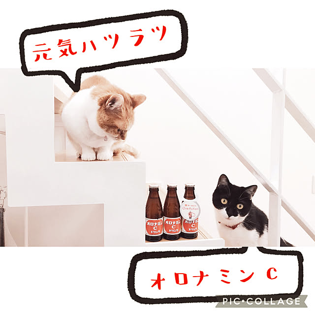 Yさんの実例写真
